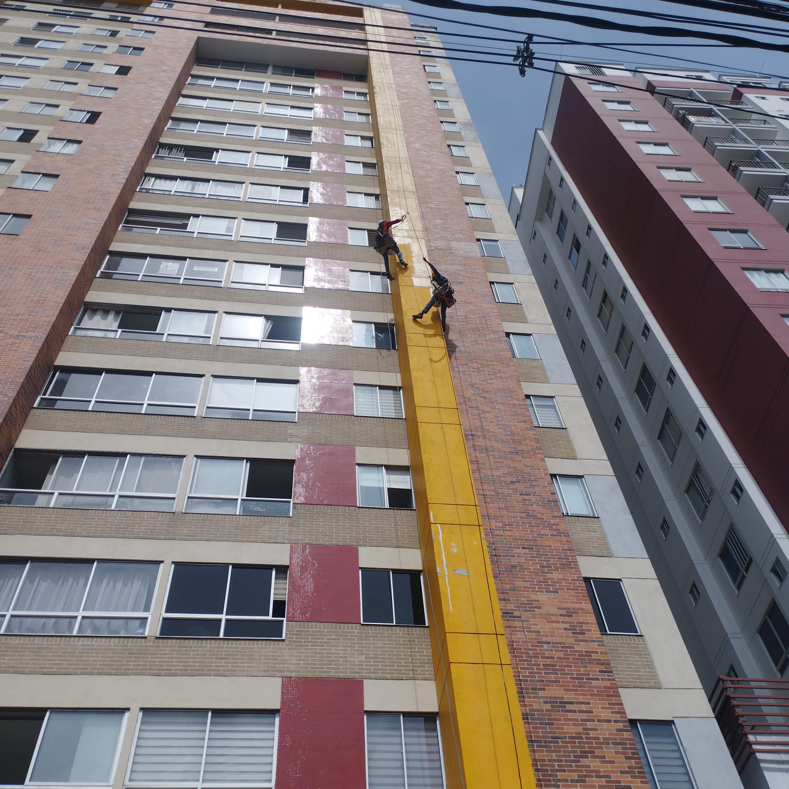 Proyecto BASARI Ingeniería
