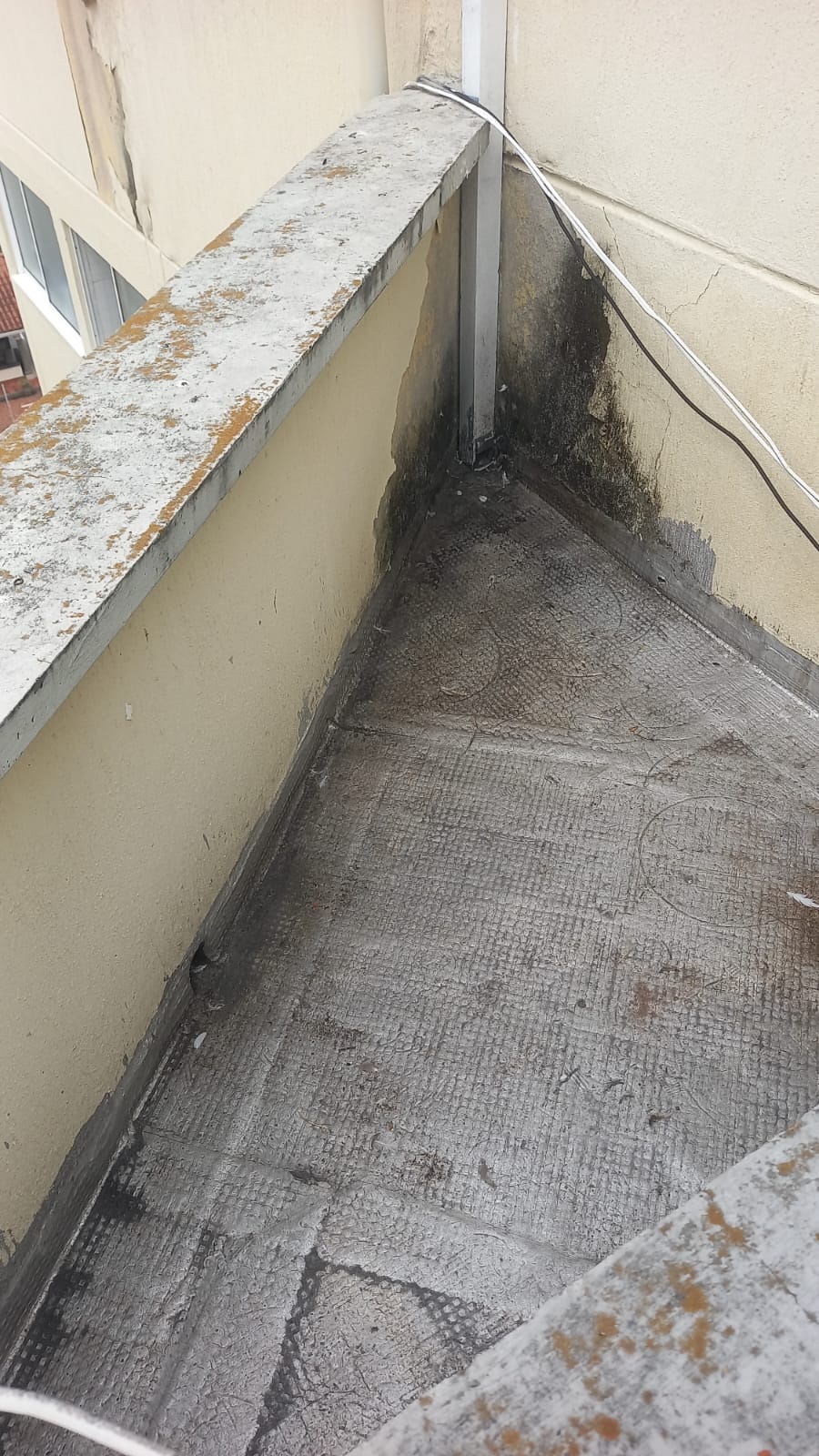 Proyecto BASARI Ingeniería